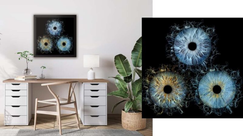 Avignon: Reveal the beauty of your iris with Iris Galerie - The Difference from Other Tours in Avignon