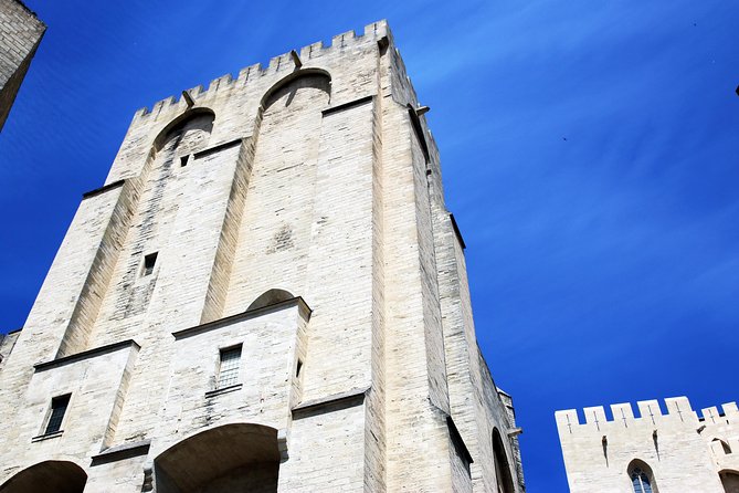 Avignon's history, local culture & the wines of Châteauneuf du Pape private tour - Key Points