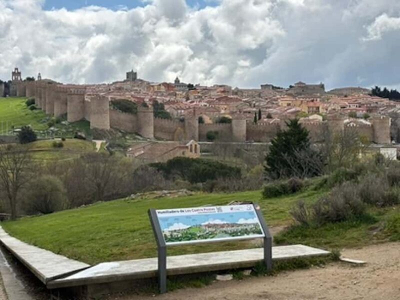 Avila: Private Half-Day Minivan Tour from Madrid - A Private Half-Day Excursion to Ávila in Style