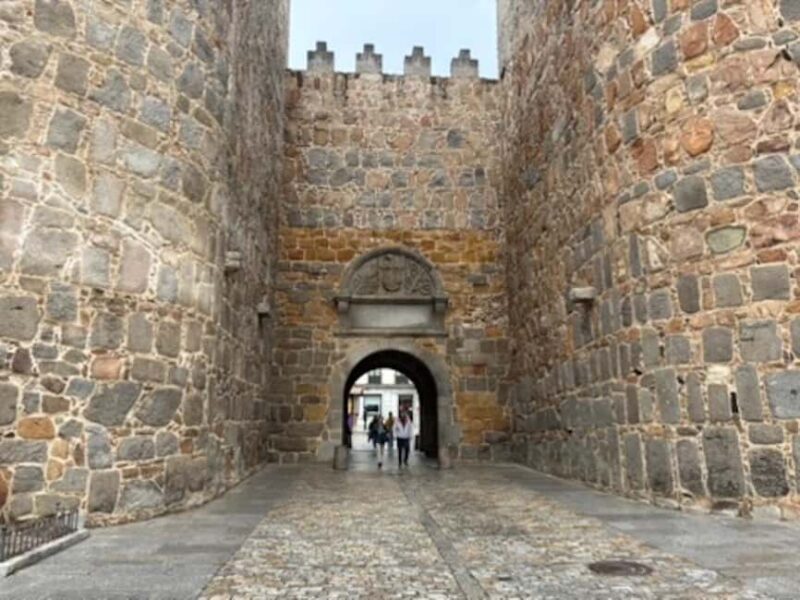 Avila: Private Half-Day Minivan Tour from Madrid - Practical Details and Booking Flexibility