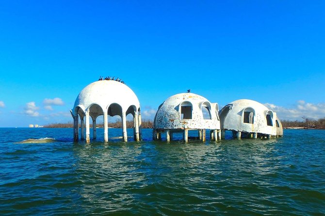 Avi's Premium Dolphin Tour by Jet Ski - The Role of the Guides and Their Expertise