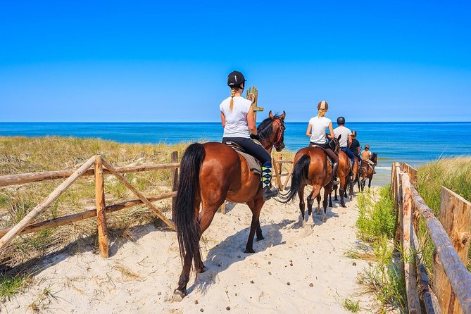 Awaken to Paros: A Scenic Morning Horseback Ride - Group Dynamics and Personal Experience