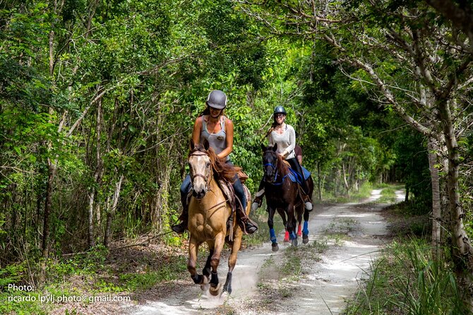 Award-winning Private Classic Horseback Ride - Key Points