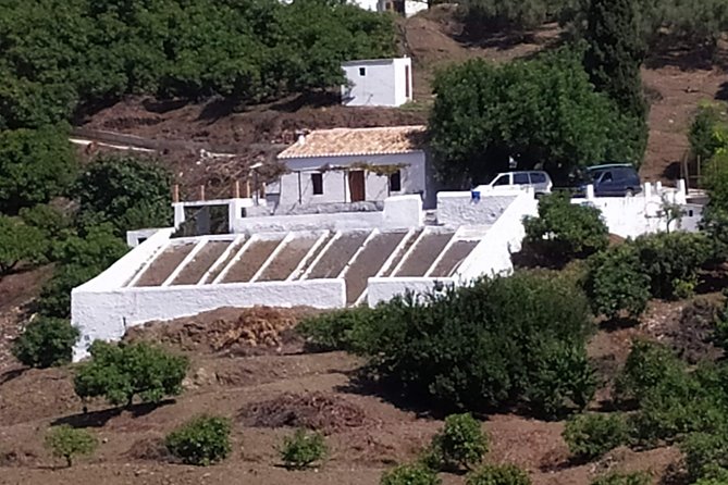 Axarquia VIP Wine Tour with Gourmet Winery Lunch Experience - Gourmet Vineyard Lunch Experience