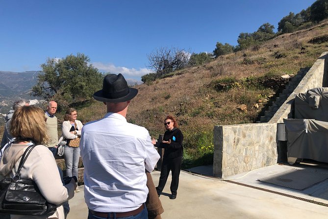 Axarquia VIP Wine Tour with Gourmet Winery Lunch Experience - Scenic Drives and Picturesque Views