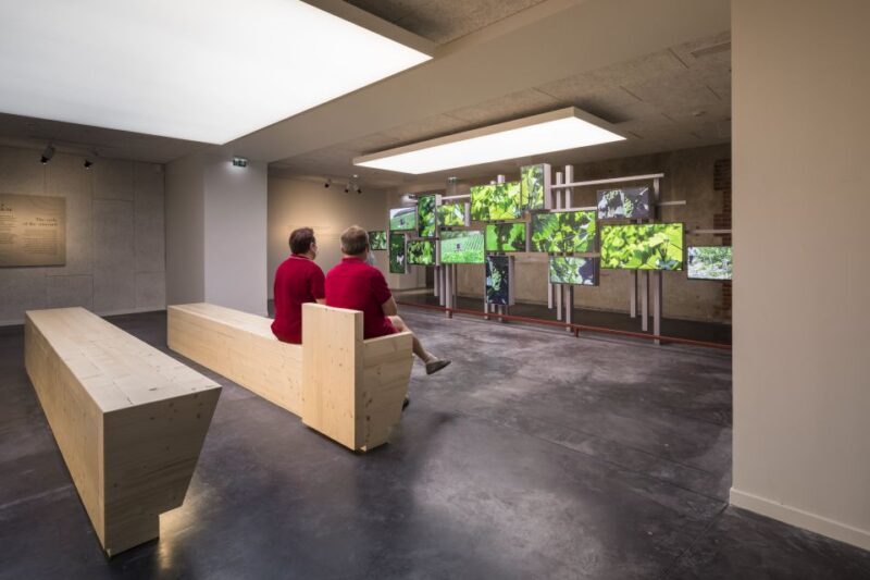 Aÿ-Champagne: Pressoria Champagne Museum with Tasting - Suitability for Families and Groups