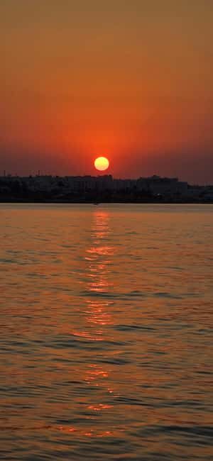 Ayia Napa: Blue Lagoon and Turtle Cove Boat Trip - Key Points