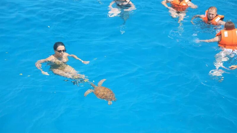 Ayia Napa: Family Cruise with Lunch and Swim Stops - Practical Details: Booking, Cancellation, and What to Bring