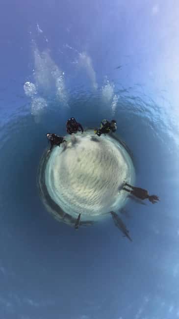 Ayia Napa: Musan Underwater Museum Scuba Dive - The Musan sculpture park: 93 artworks underwater