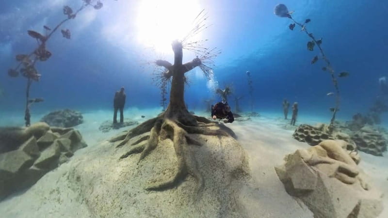 Ayia Napa: Musan Underwater Museum Scuba Dive - Marine life encounters and underwater forest