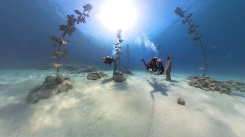 Ayia Napa: Musan Underwater Museum Scuba Dive - Guide professionalism and personalized attention