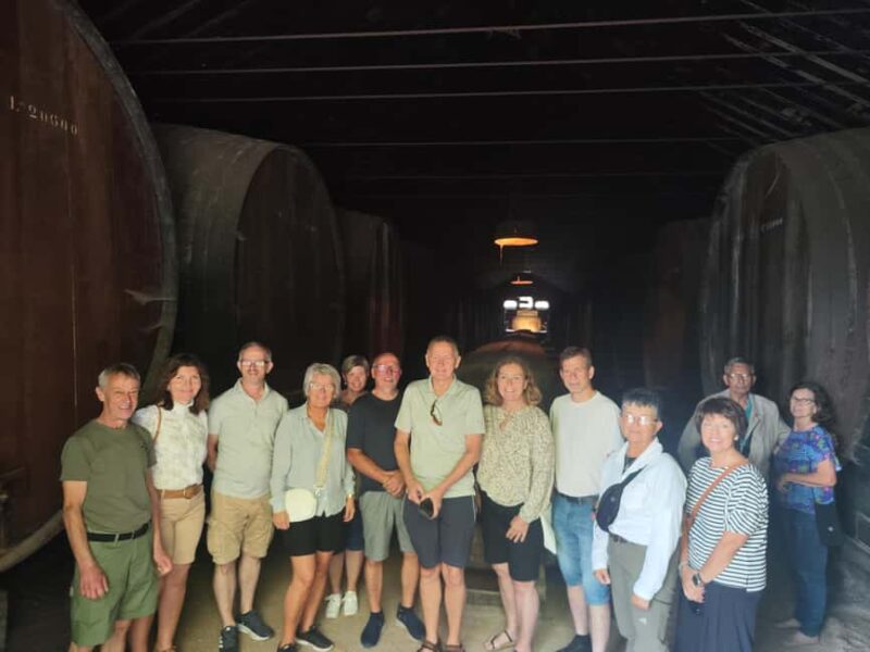 Azeitão Wine & Flavors - Tradition, and Taste of Setúbal - Logistics and Flexibility for Every Traveler