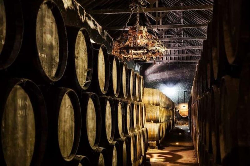 Azeitão Wine & Flavors - Tradition, and Taste of Setúbal - Accessibility and Additional Comforts