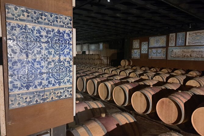 Azeitão Wines Tour and Stunning View Lisbon - Visit the Bacalhôa Vinhos de Portugal Winery, Known for Art and Nature