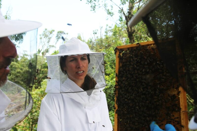 Azores Beekeeping Experience and Honey Tasting - Azores Beekeeping Experience at Apiário Margaridas