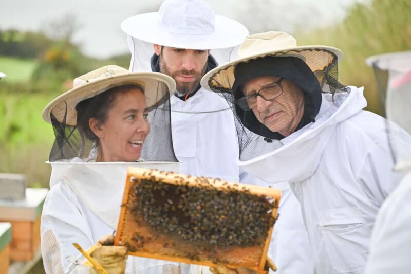 Azores Beekeeping Experience and Honey Tasting - Practical Details and Recommendations for the Tour