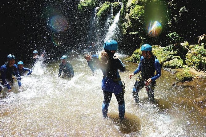 Azores Canyoning Adventure in São Miguel - Half-day - The Adventure Activities: Jumps, Rappels, and Slides