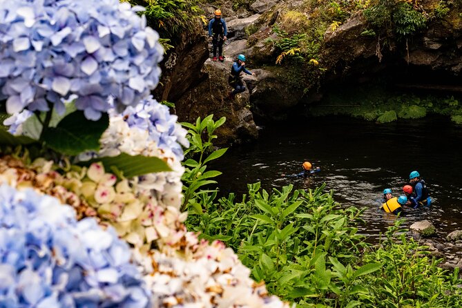Azores Canyoning Adventure in São Miguel - Half-day - Pacing, Duration, and Crowd Levels