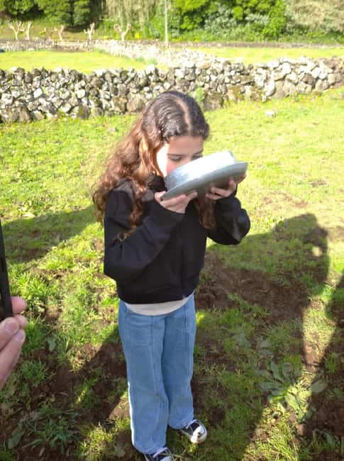 Azores: Day at the Farm with Traditional Lunch - Practical Details and Logistics