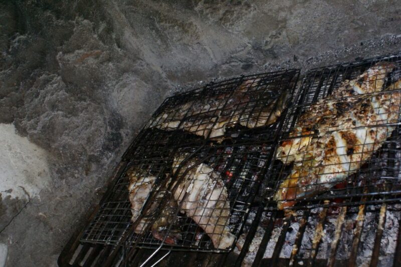 Azores: Full-Day Land & Ocean Tour - Discovering São Miguel’s Flora and Unique Landscapes