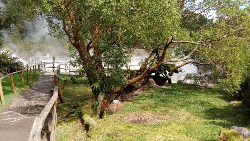 Azores: Full Day Private Tour Furnas Hot Baths & Gastronomy - Discovering Furnas Lake and Its Thermal Atmosphere