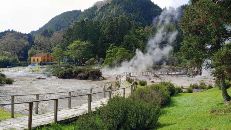 Azores: Full Day Private Tour Furnas Hot Baths & Gastronomy - Relaxing in Terra Nostra Park’s Mineral Hot Springs