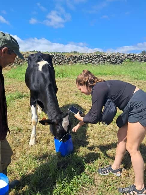 Azores: Half-Day Dairy Farm Tour - Exploring the Viewpoints and Villages on the Tour