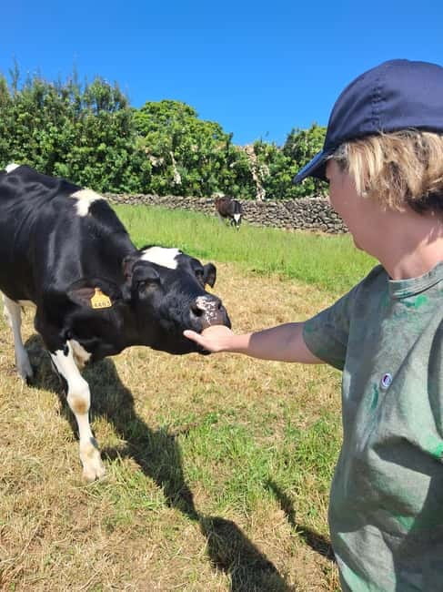 Azores: Half-Day Dairy Farm Tour - The Scenic Pastures and Farm Views