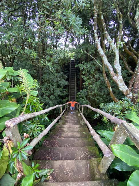 Azores: Janela do Inferno, Caldeira Velha Guided Hiking Tour - Key Points