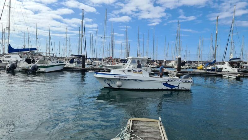 Azores: Ponta Delgada Big Game Fishing Private Tour - Whale and Dolphin Sightings During the Sail