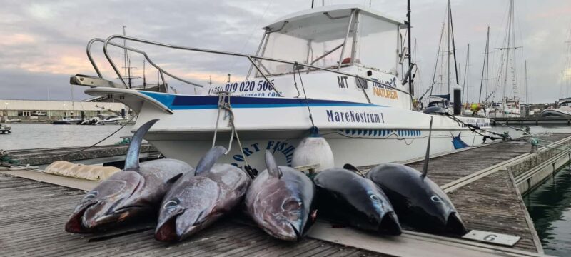 Azores: Ponta Delgada Big Game Fishing Private Tour - What’s Included in the Price