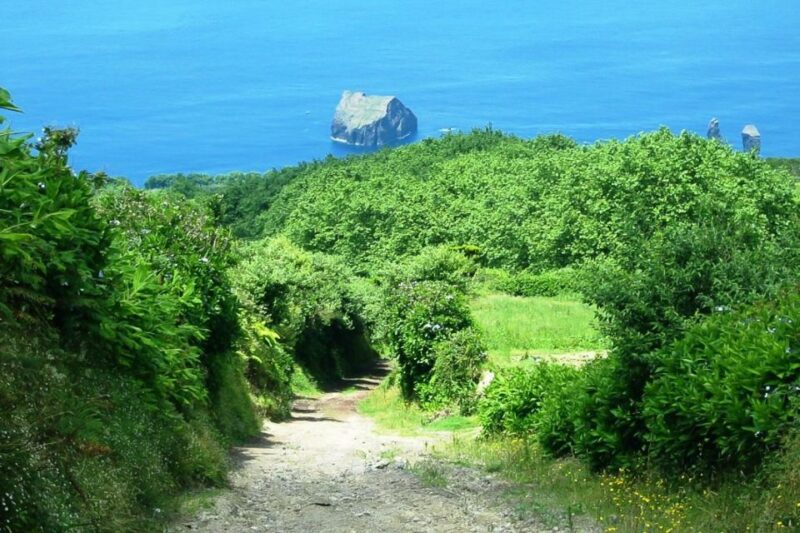 Azores: Sete Cidades Scenic Jeep Tour from Ponta Delgada - Highly Praised Guides and Customer Satisfaction