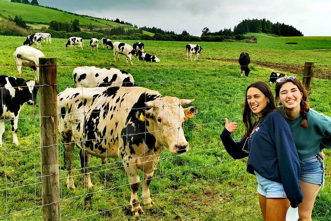 Azores: Shore Excursion Furnas - Crater volcano and hot springs - Walking Through Caldeira das Furnas Hot Springs and Geysers