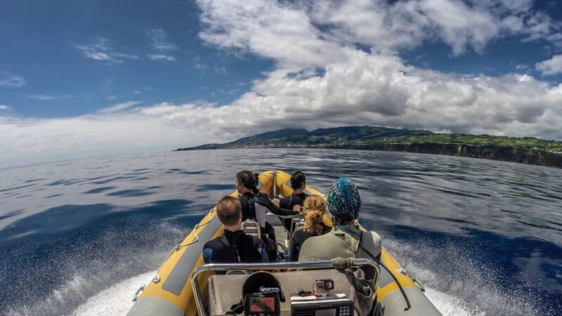 Azores: Swim with Dolphins Atlantic Experience - Practicalities: Meeting Point and Accessibility
