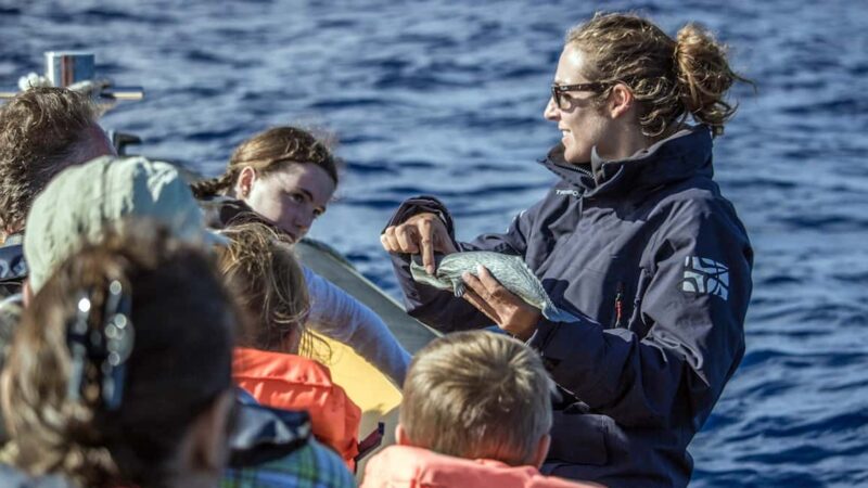 Azores: Whale Watching & Islet Boat Tour w/ Marine Biologist - Key Points