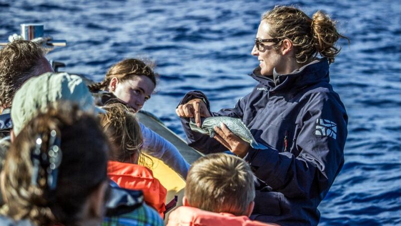 Azores: Whale Watching & Islet Boat Tour w/ Marine Biologist - The Islet of Vila Franca do Campo: A Natural Marvel