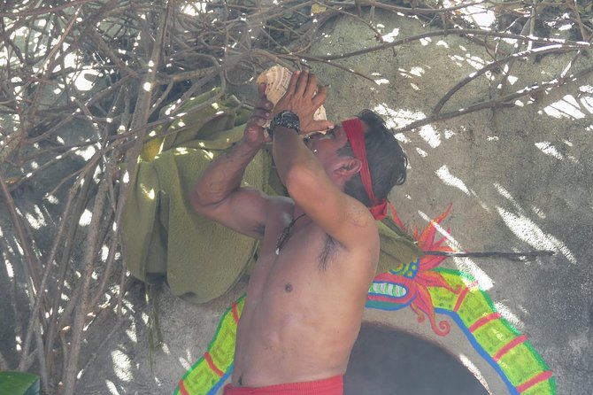 Aztec Temazcal Experience & Jungle Coyuca Lagoon &Turtle Release - Convenience of Hotel Pickup and Group Size