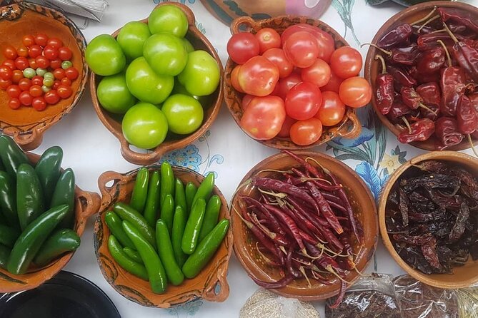 Baby sea turtles camp - Key Points