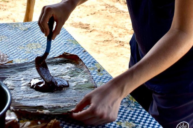 Baby sea turtles camp - How the Tour Contributes to Turtle Conservation