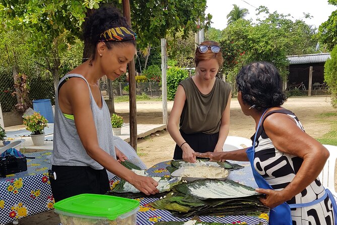 Baby sea turtles camp - Logistics and Accessibility of the Turtle Camp Tour