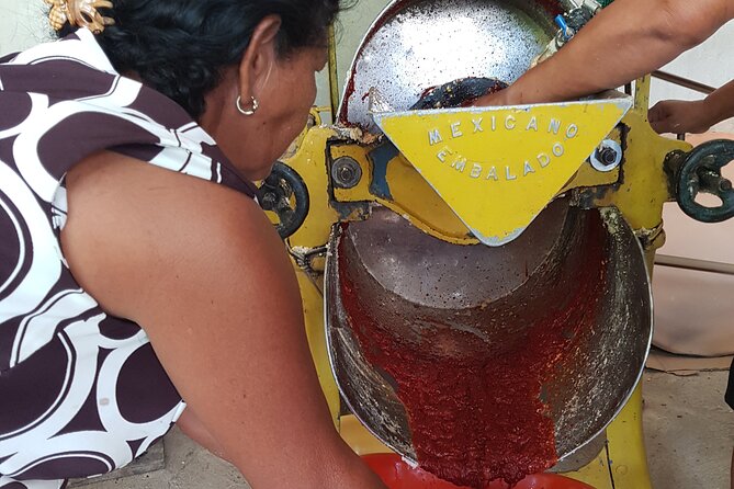 Baby sea turtles camp - Cancellation Policy and Planning for Weather