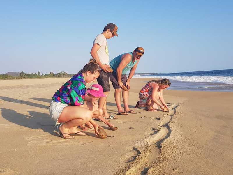 Baby Sea turtles release in Puerto Escondido - The Guided Tour: Bilingual Expertise and Friendly Hosts