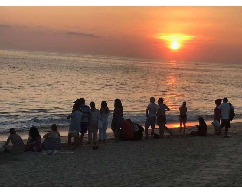 Baby Sea turtles release in Puerto Escondido - Final Thoughts on the Baby Sea Turtles Release Tour