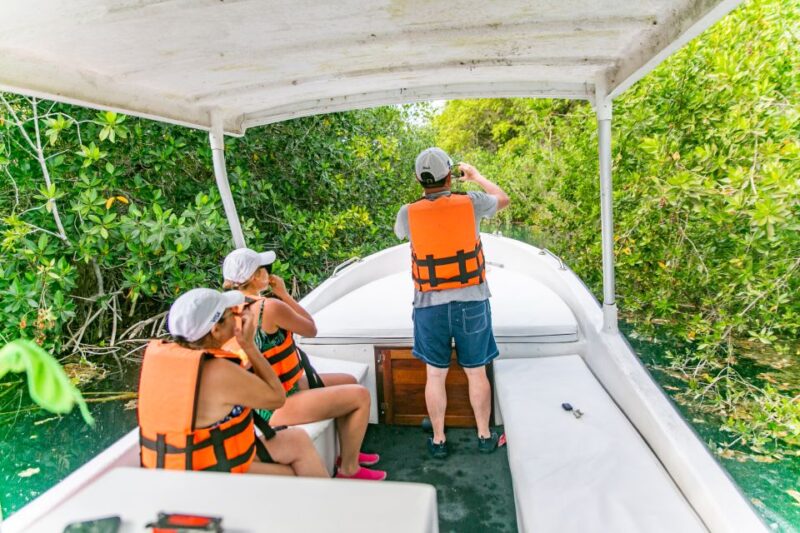 Bacalar: 3 Hour Boat Trip with Swimming & Drinks - Practicalities: Meeting Points, Timing, and Accessibility