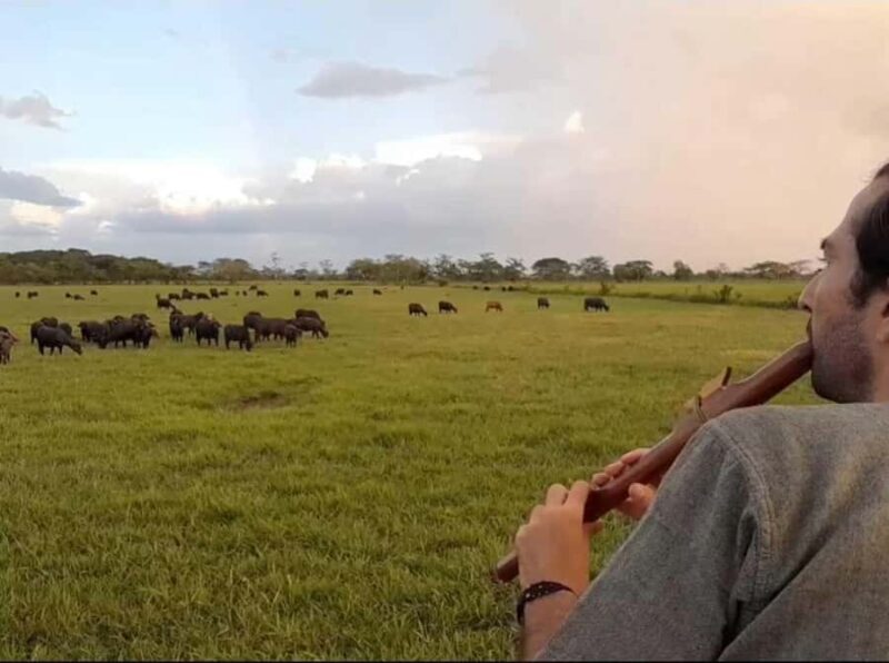 Bacalar: Calakmul, Palenque with a unique stop in the heart of the savanna - Explore the Ancient Pyramids of Calakmul and the Mysteries of Palenque in Two Days