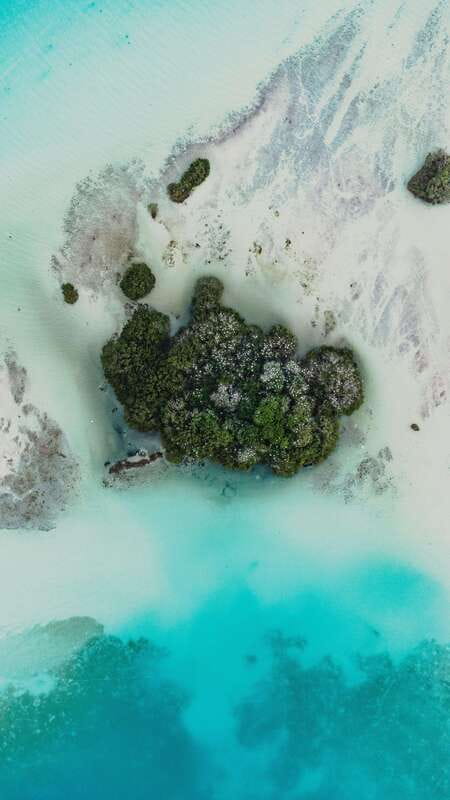 Bacalar & Cenotes: 3 hours kayak rental with snorkeling gear - Key Points