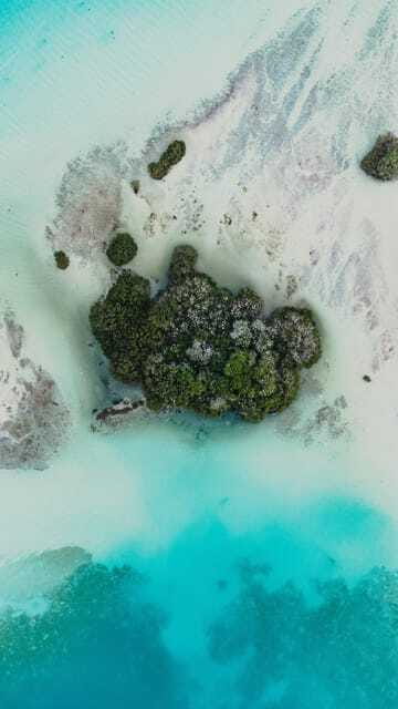 Bacalar & Cenotes: 3 hours kayak rental with snorkeling gear - The Choice Between Single and Double Kayaks