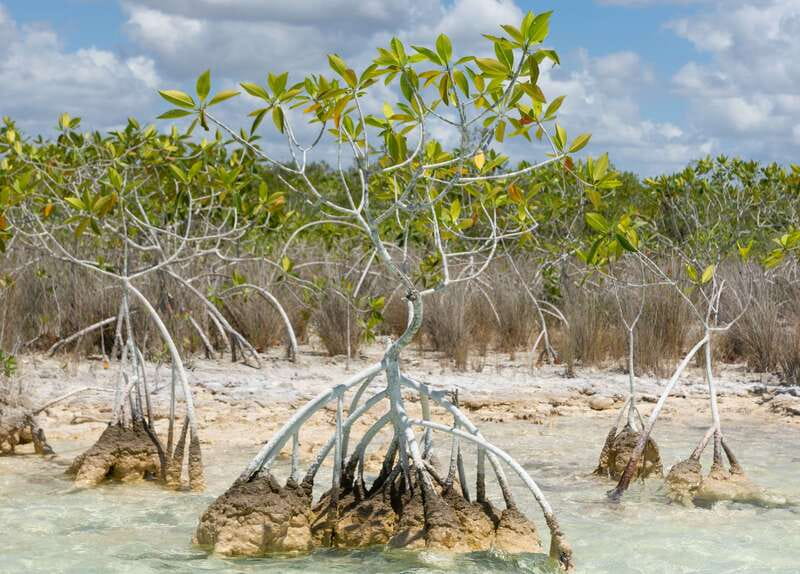Bacalar: Full Day Kayak Rental in the Lagoon of Seven Colors - Practicalities: Booking, Cancellation, and Group Size