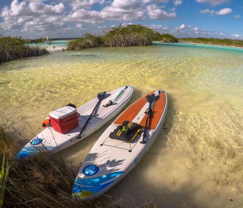 Bacalar: Full-Day Paddleboard Rental - Discover the Flora and Fauna of Bacalar Lagoon