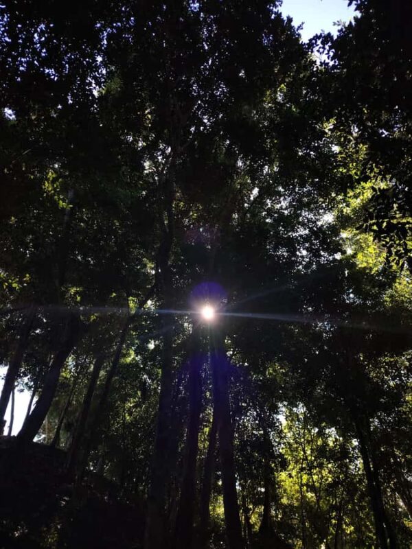 Bacalar: Ichkabal mayan temples & boat tour. - The Guide and Language Support